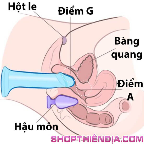 cach-su-dung-duong-vat-gia