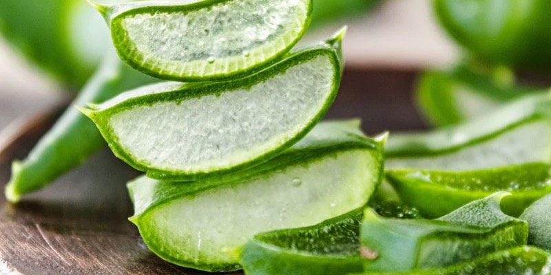 Cách làm gel bôi trơn tại nhà bằng nha đam