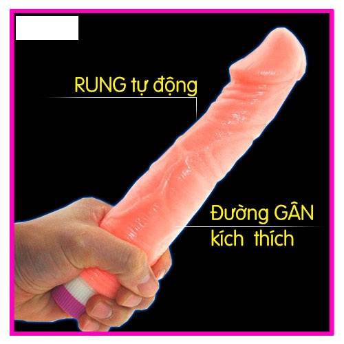 dương vật cầm tay giá rẻ