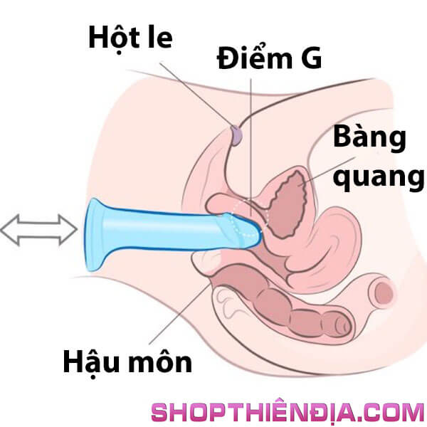 cach-su-dung-duong-vat-gia